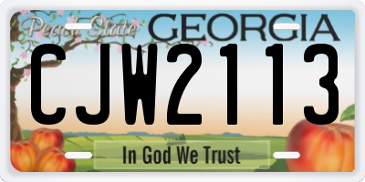 GA license plate CJW2113