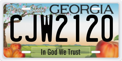 GA license plate CJW2120