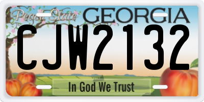 GA license plate CJW2132
