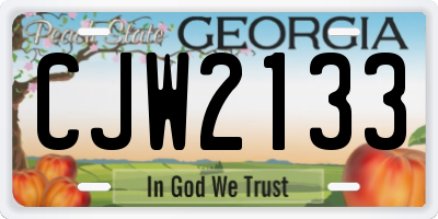 GA license plate CJW2133