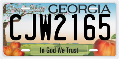 GA license plate CJW2165