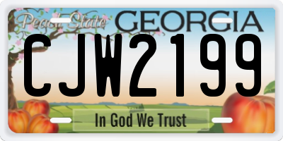GA license plate CJW2199