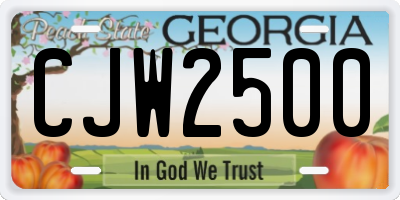 GA license plate CJW2500