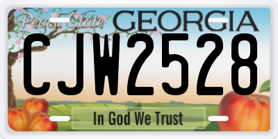 GA license plate CJW2528