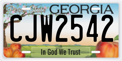 GA license plate CJW2542