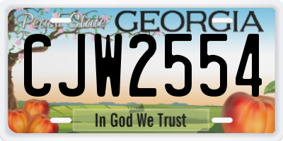 GA license plate CJW2554