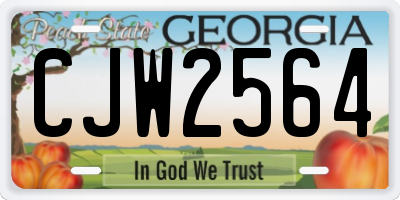 GA license plate CJW2564