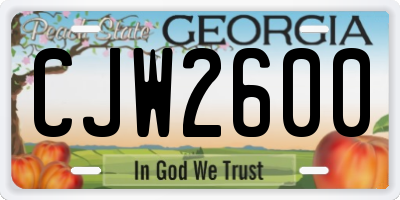 GA license plate CJW2600