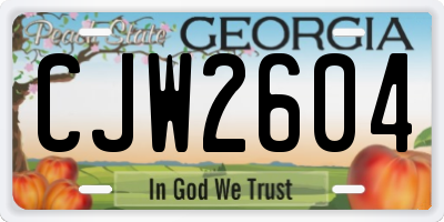 GA license plate CJW2604