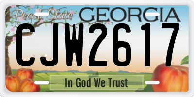 GA license plate CJW2617
