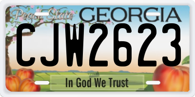 GA license plate CJW2623