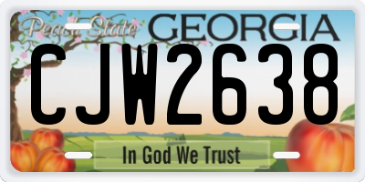 GA license plate CJW2638