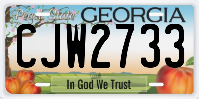GA license plate CJW2733