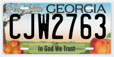 GA license plate CJW2763