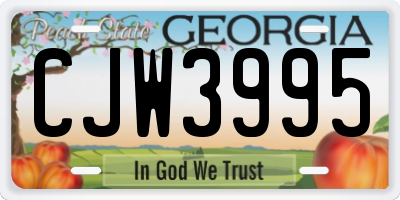 GA license plate CJW3995