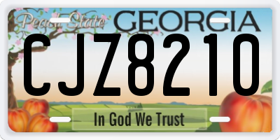 GA license plate CJZ8210