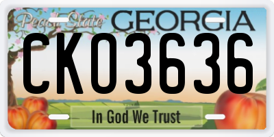 GA license plate CKO3636