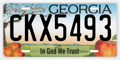 GA license plate CKX5493