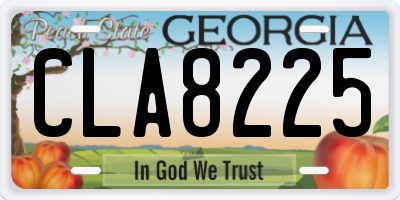 GA license plate CLA8225