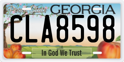 GA license plate CLA8598