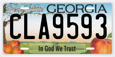 GA license plate CLA9593