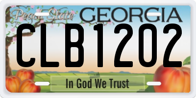 GA license plate CLB1202