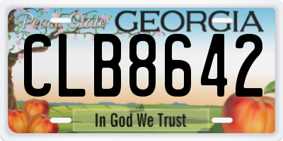 GA license plate CLB8642