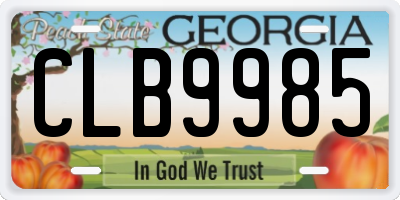 GA license plate CLB9985
