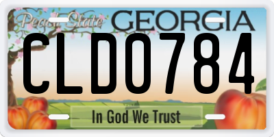 GA license plate CLD0784