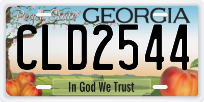 GA license plate CLD2544