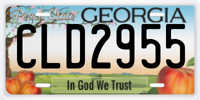 GA license plate CLD2955