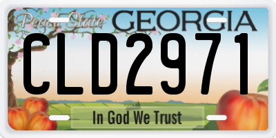 GA license plate CLD2971