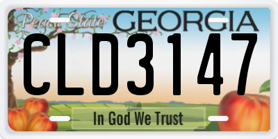 GA license plate CLD3147