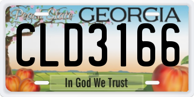 GA license plate CLD3166