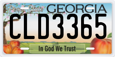 GA license plate CLD3365