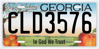 GA license plate CLD3576