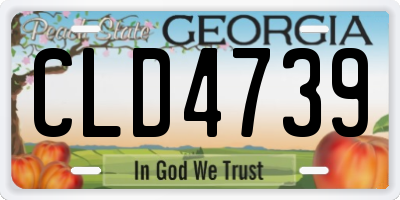 GA license plate CLD4739