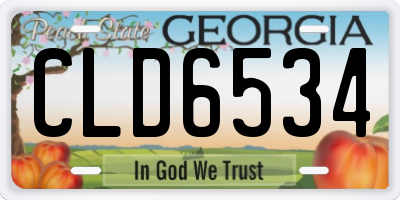 GA license plate CLD6534