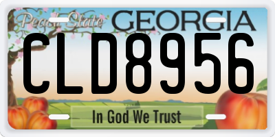 GA license plate CLD8956