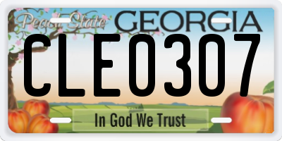 GA license plate CLE0307