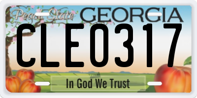 GA license plate CLE0317
