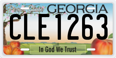 GA license plate CLE1263