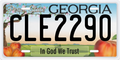 GA license plate CLE2290