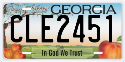 GA license plate CLE2451