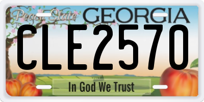 GA license plate CLE2570