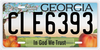 GA license plate CLE6393