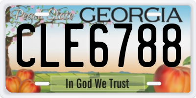 GA license plate CLE6788