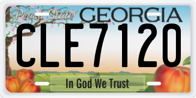 GA license plate CLE7120