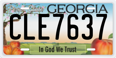GA license plate CLE7637