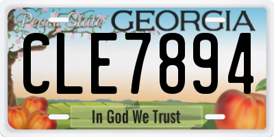 GA license plate CLE7894